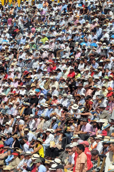 Crowd watch bullfighting — Stock Photo, Image
