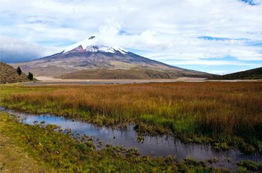 Volkan cotopaxi'nın eteklerinde limpiopungo lagoon