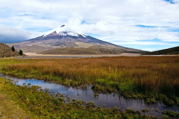 Volkan cotopaxi'nın eteklerinde limpiopungo lagoon — Stok fotoğraf