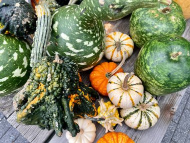 Bir masada kabak ve kabak koleksiyonu