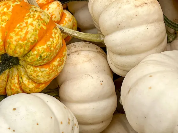 Yanında turuncu kabak olan beyaz balkabağı yığını.