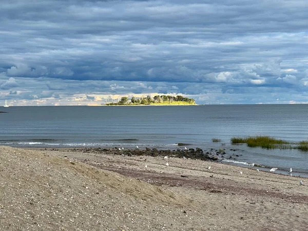 Kayalık bir plajın karşısındaki parlayan ada.