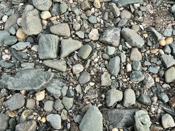 Texture Grey Rocks Shells Beach — Stock Photo, Image