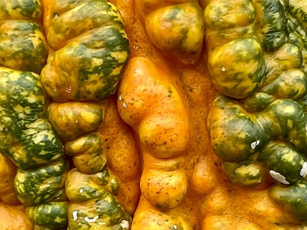 Turuncu, sarı ve yeşil siğilli balkabağı.