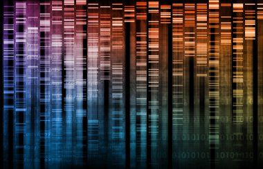 DNA araştırma