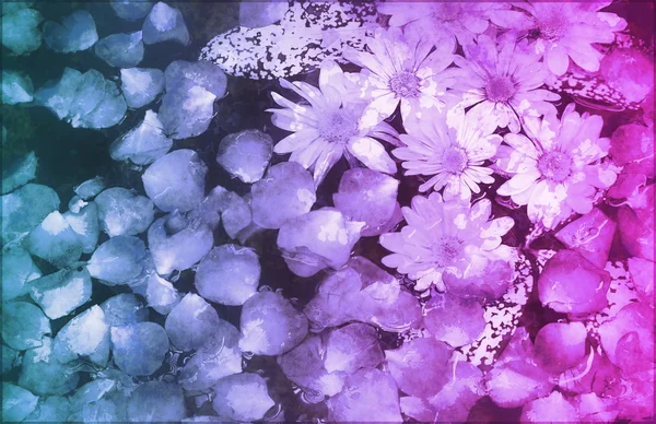 Masumiyet doğanın çiçekler boyanmış — Stok fotoğraf