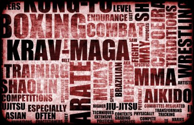 Krav Maga