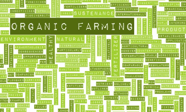 Organic Farming — Stock Image Organic Farming Stock Photo