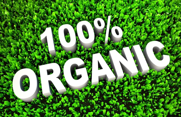 100 percent Organic — Stock Photo, Image