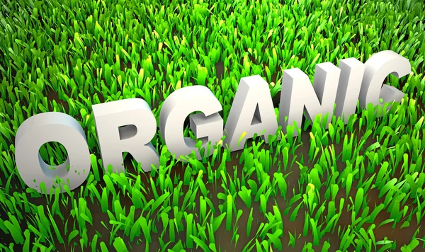 Organically Grown — Stock Photo, Image