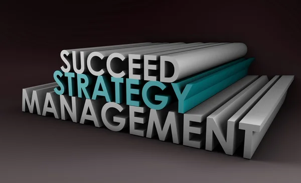 Successful Management Strategy — Stock Photo, Image