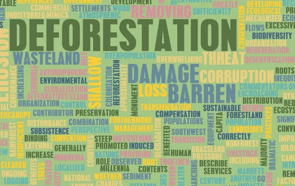 Deforestazione — Foto Stock