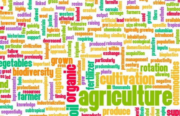 Agriculture Industry — Stock Photo, Image