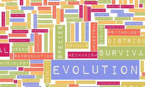Эволюция — стоковое фото