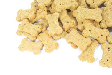 sevimli köpek bisküvi kemik şeklinde