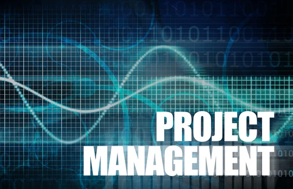 Project Management di una Società in Business — Foto Stock