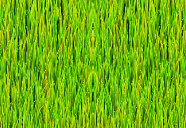 Grünes Gras Patch Hintergrund — Stockfoto