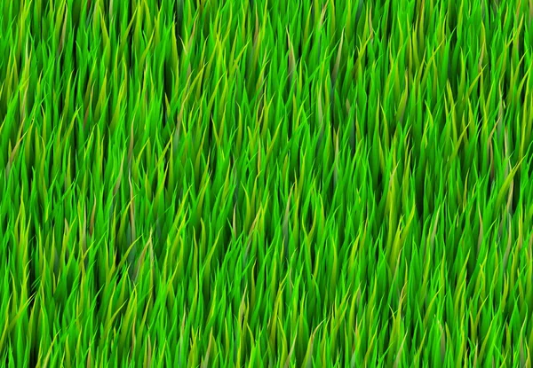 Green Grass Patch Background — Stock Photo, Image