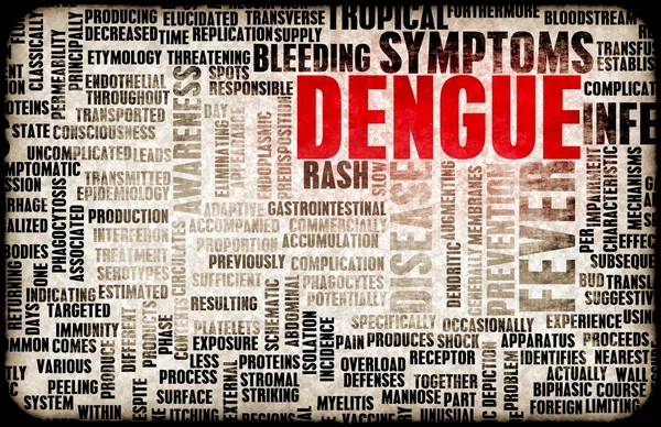 Horečka dengue — Stock fotografie