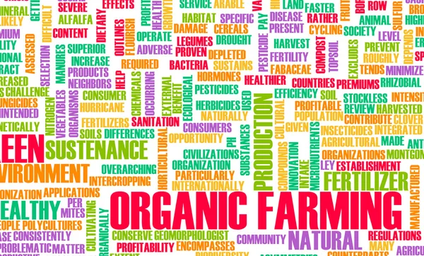 Organic Farming — Stock Photo, Image