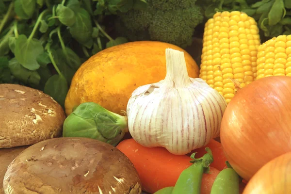 Zahradní čerstvé potraviny — Stock fotografie
