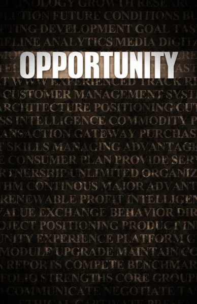 Oportunidad — Foto de Stock