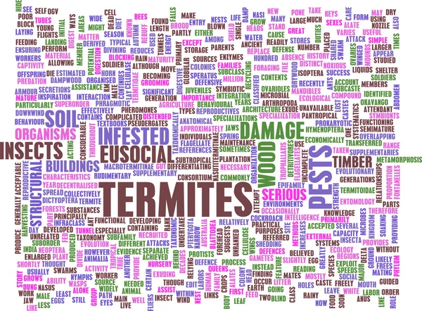 Termites — Stock Photo, Image