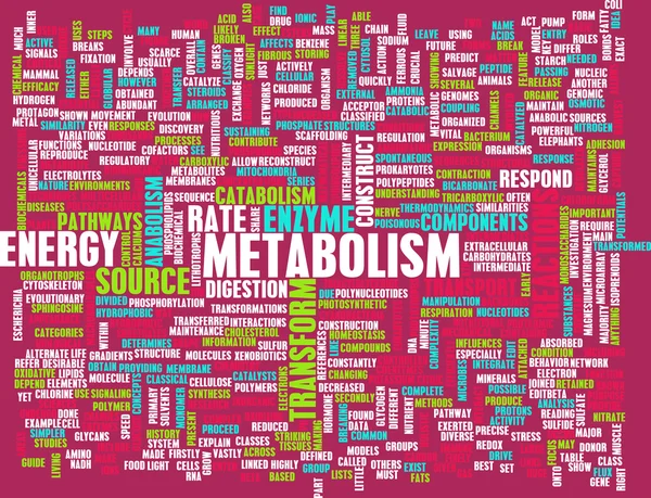 Metabolism — Stock Photo, Image