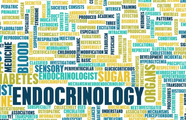 Endocrinology — Stock Photo, Image