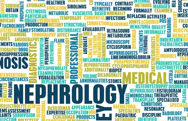 Nephrology — Stock Photo, Image