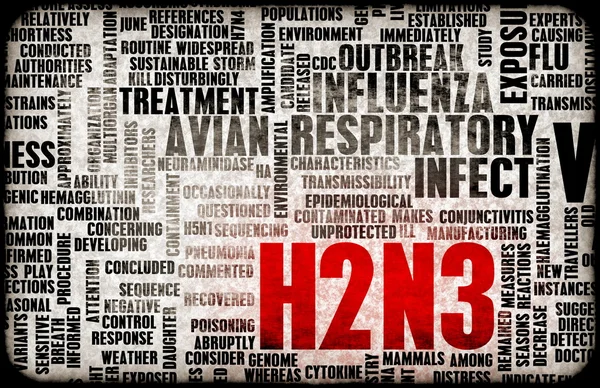 H2n3 — Fotografia de Stock