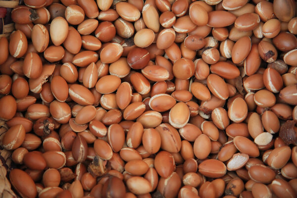 Argan Fruit