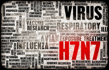 h7n7 arka plan