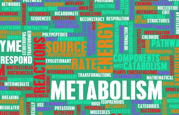 Metabolismo — Fotografia de Stock