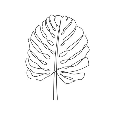 One line drawing of monstera leaf. Continuous one line of monstera exotic tropical palm. Vector illustration.