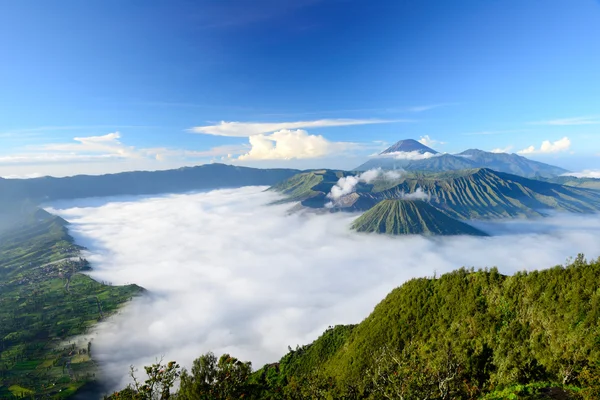 Bromo yanardağ (Doğu java, Endonezya)
