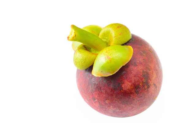 Trópusi gyümölcs mangosztán — Stock Fotó