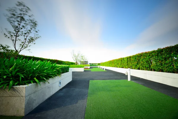 Landscape of garden on rooftop — Stock Photo, Image