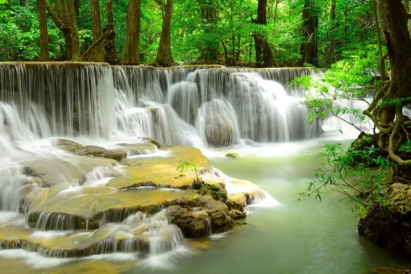 Cachoeira na floresta tropical profunda em Huay Maekhamin Fotografia De Stock