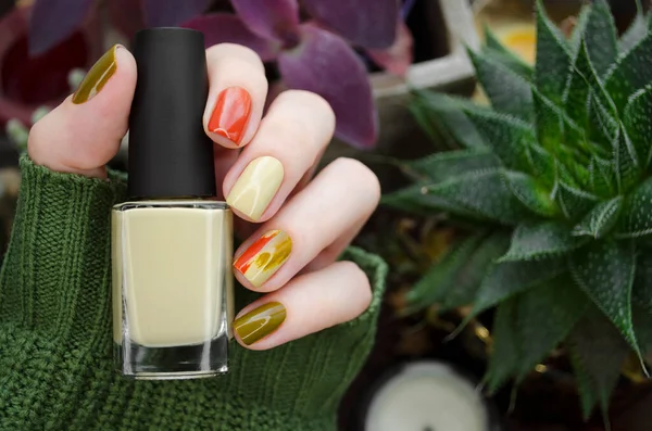 CloseUp top view of beautiful faded colors trendy manicure of green and beige glossy nails. Winter or autumn style of nail design concept. Woman hand holds nail polish bottle.