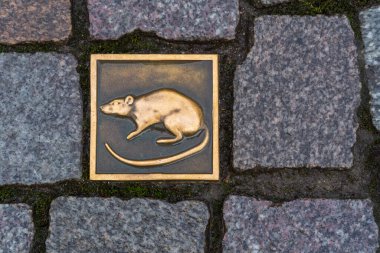 Hamelin, Germany - Nov 28, 2019: Metal Rat tile among paving stones on the streets of Hamelin - reference to the pied pipers tale - Hamelin, Lower Saxony, Germany