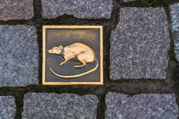 Hamelin Germany Nov 2019 Metal Rat Tile Paving Stones Streets — Stock Photo, Image
