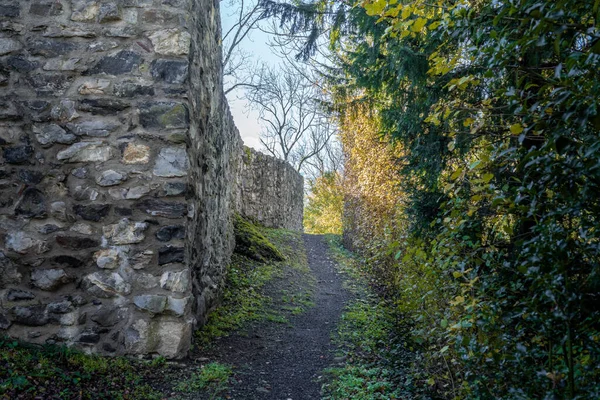 Ruines Château Inférieur Untere Burg Schellenberg Liechtenstein — Photo