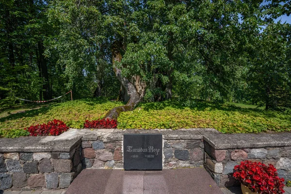 Sigulda Letónia Julho 2019 Memorial Rosa Turaida Reserva Museu Turaida — Fotografia de Stock