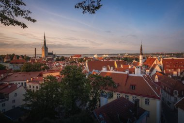 Tallinn 'in gün batımında St Olafs Kilise Kulesi ve Kutsal Ruh Kilisesi - Tallinn, Estonya