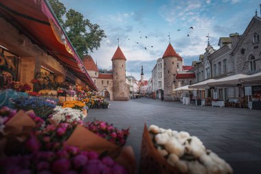 Arka planda Tallinn Belediye Binası olan Viru Gate - Tallinn, Estonya
