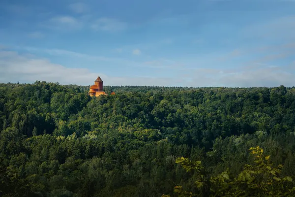 Vista Aérea Del Parque Nacional Sigulda Castillo Turaida Sigulda Letonia — Foto de Stock