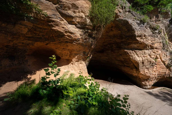 Grotta Gutmans Grotta Gutmanis Nel Parco Nazionale Sigulda Grotta Con — Foto Stock