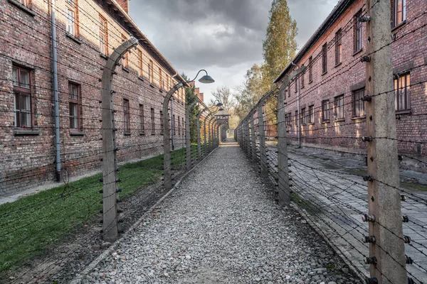 Auschwitz 'teki dikenli teller ve binalar - eski Alman Nazi Toplama ve İmha Kampı - Polonya