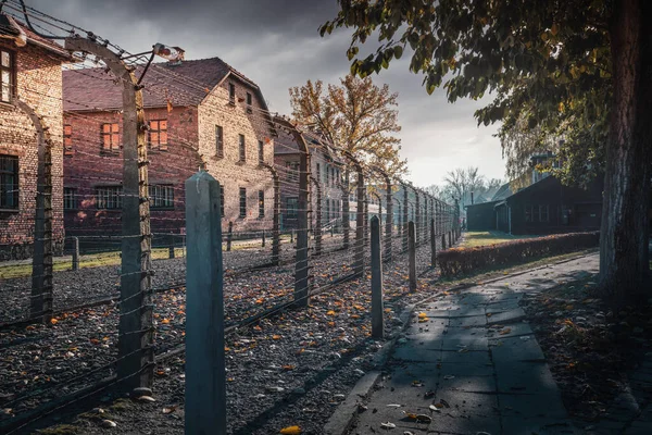 Plot Ostnatého Drátu Budovy Osvětimi Bývalý Německý Nacistický Koncentrační Vyhlazovací — Stock fotografie